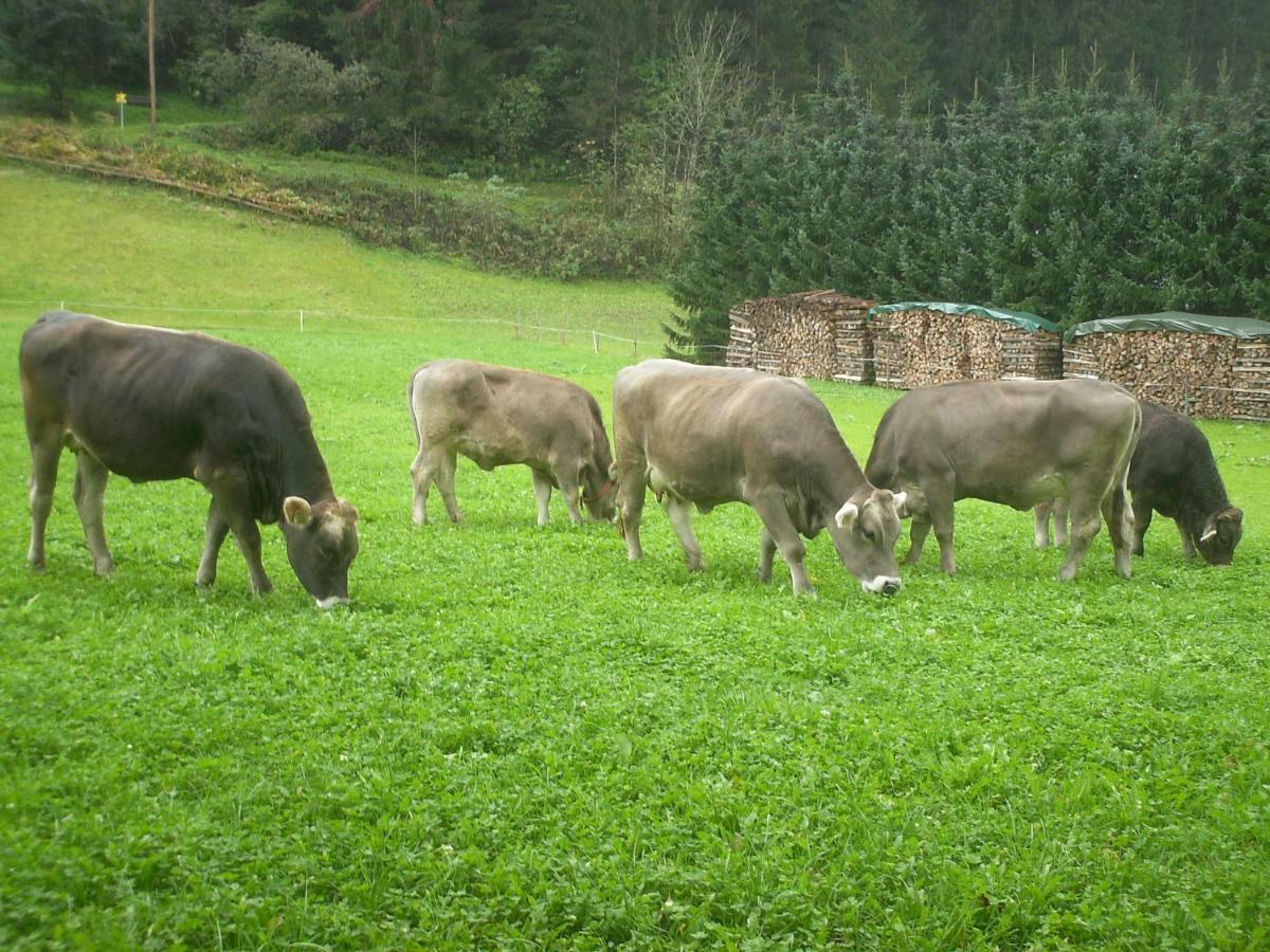 Nieslerhof Villa Mayrhofen Dış mekan fotoğraf