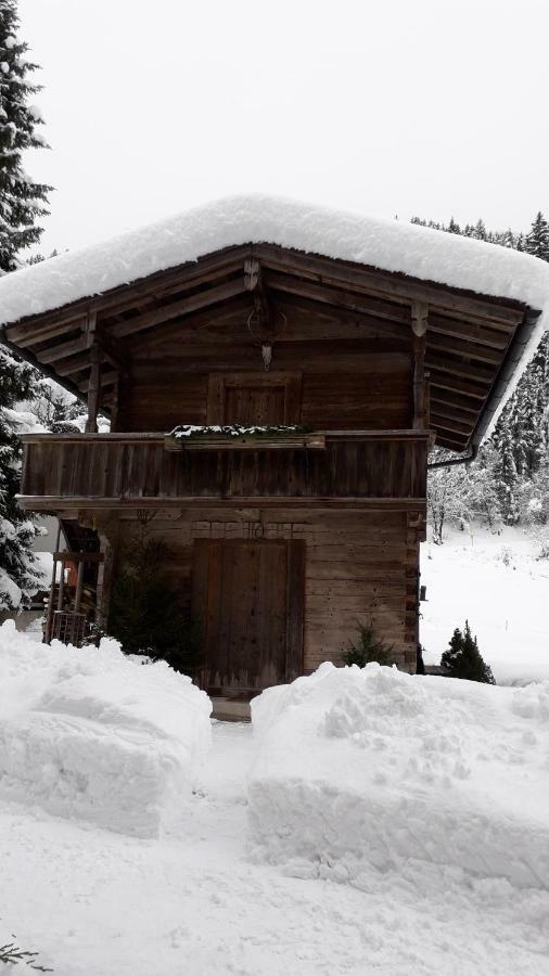 Nieslerhof Villa Mayrhofen Dış mekan fotoğraf