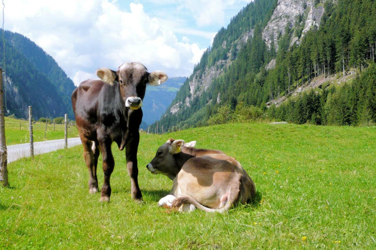 Nieslerhof Villa Mayrhofen Dış mekan fotoğraf